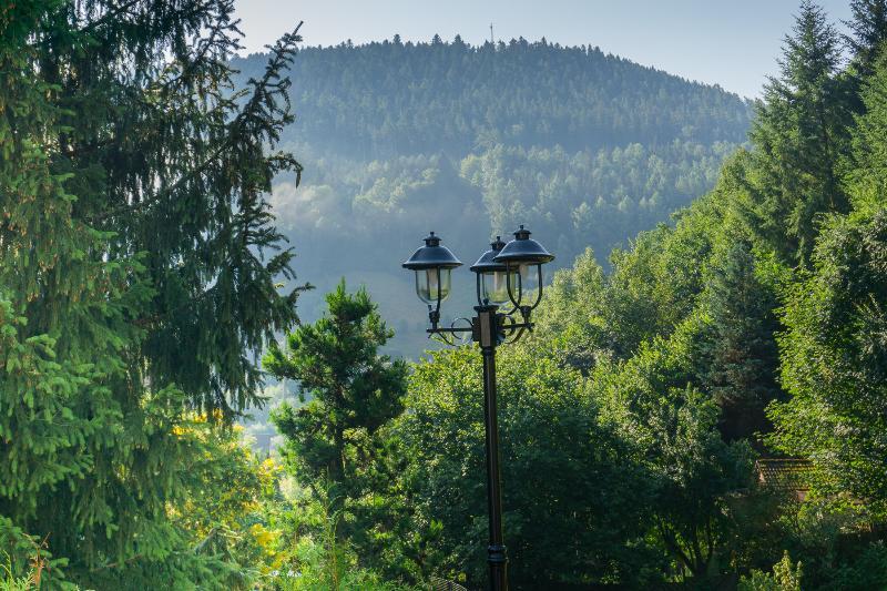 Kraehenbad Hotel Альпирсбах Экстерьер фото