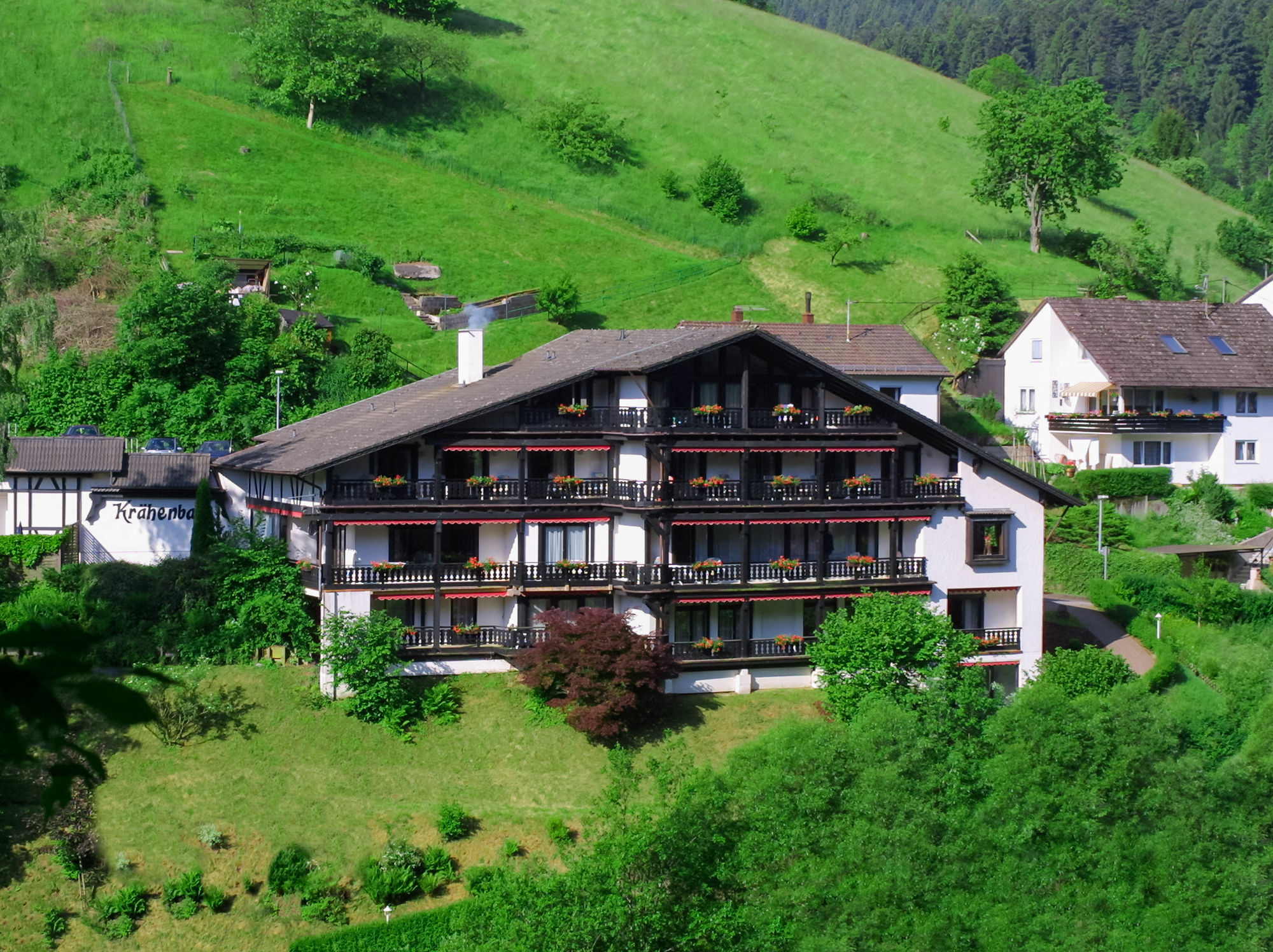 Kraehenbad Hotel Альпирсбах Экстерьер фото